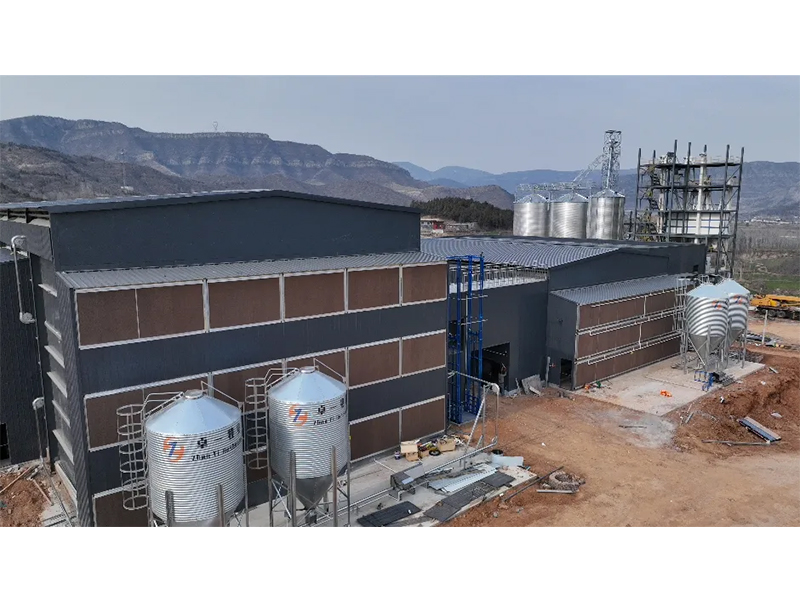 夏季養(yǎng)雞僅關(guān)注溫度環(huán)境？飼料安全須高度重視！