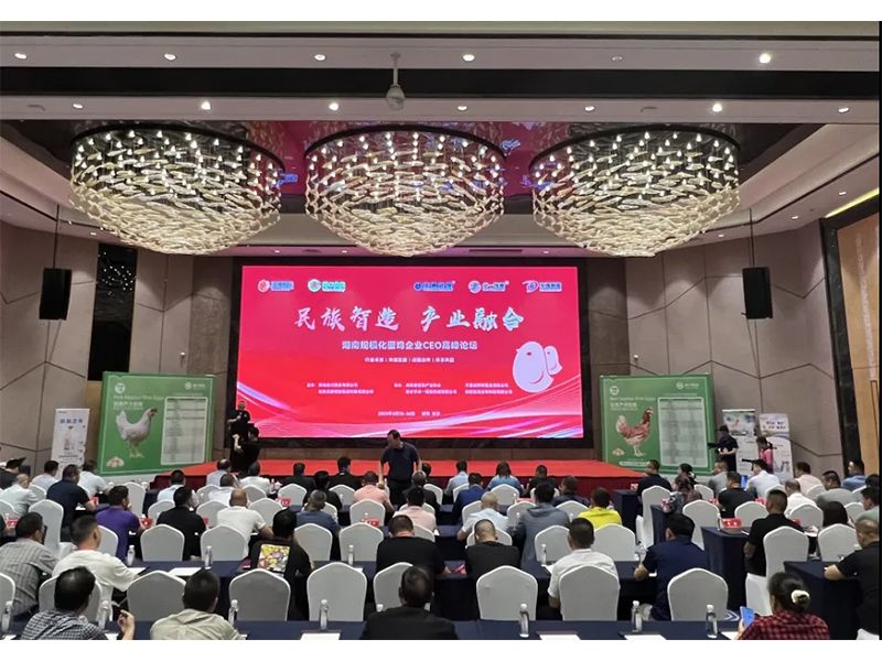 熱烈祝賀湖南規(guī)模化蛋雞企業(yè)CEO高峰論壇取得圓滿成功！