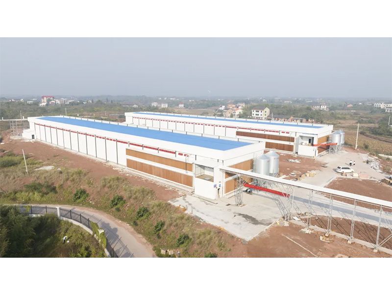 熱烈祝賀西南地區(qū)300萬羽蛋雞養(yǎng)殖基地驗(yàn)收成功，上雞大吉！