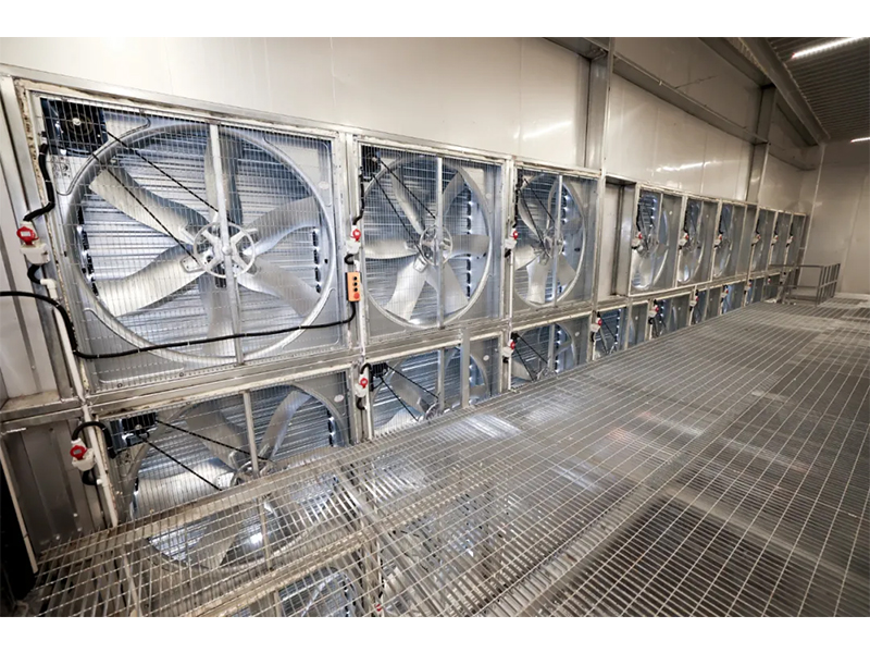 春夏氣溫驟升之際，雞舍應(yīng)該采取哪些應(yīng)對措施？