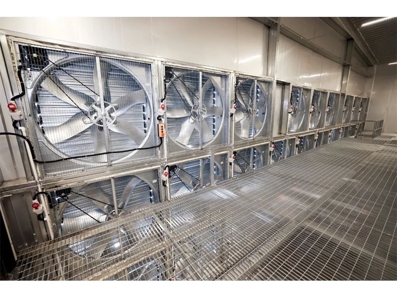 春夏氣溫驟升之際，雞舍應(yīng)該采取哪些應(yīng)對措施？