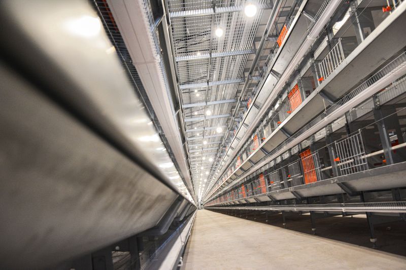  種雞硬件設(shè)備圖