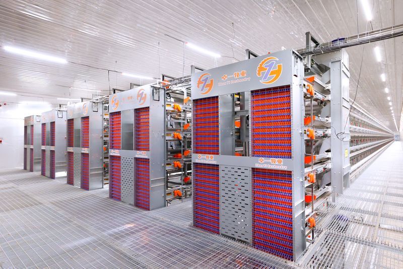 超高層疊養(yǎng)雞技術：養(yǎng)雞產(chǎn)業(yè)新潮流